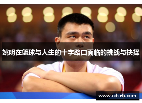 姚明在篮球与人生的十字路口面临的挑战与抉择