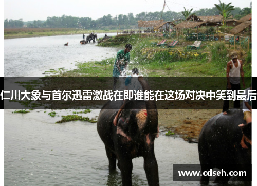 仁川大象与首尔迅雷激战在即谁能在这场对决中笑到最后