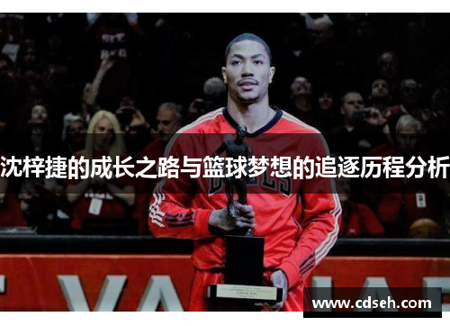 沈梓捷的成长之路与篮球梦想的追逐历程分析