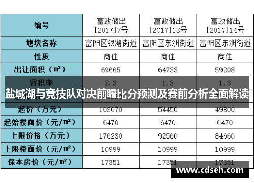 盐城湖与竞技队对决前瞻比分预测及赛前分析全面解读